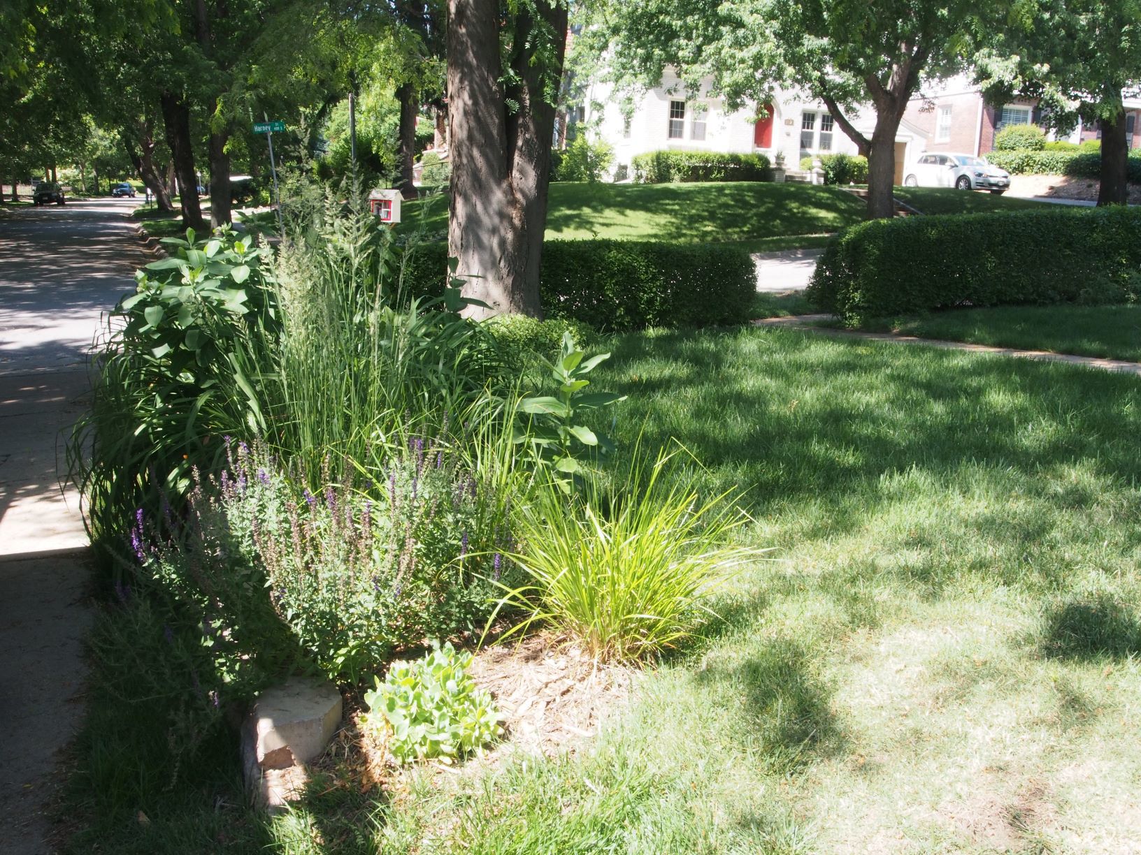 Wildflower gardens